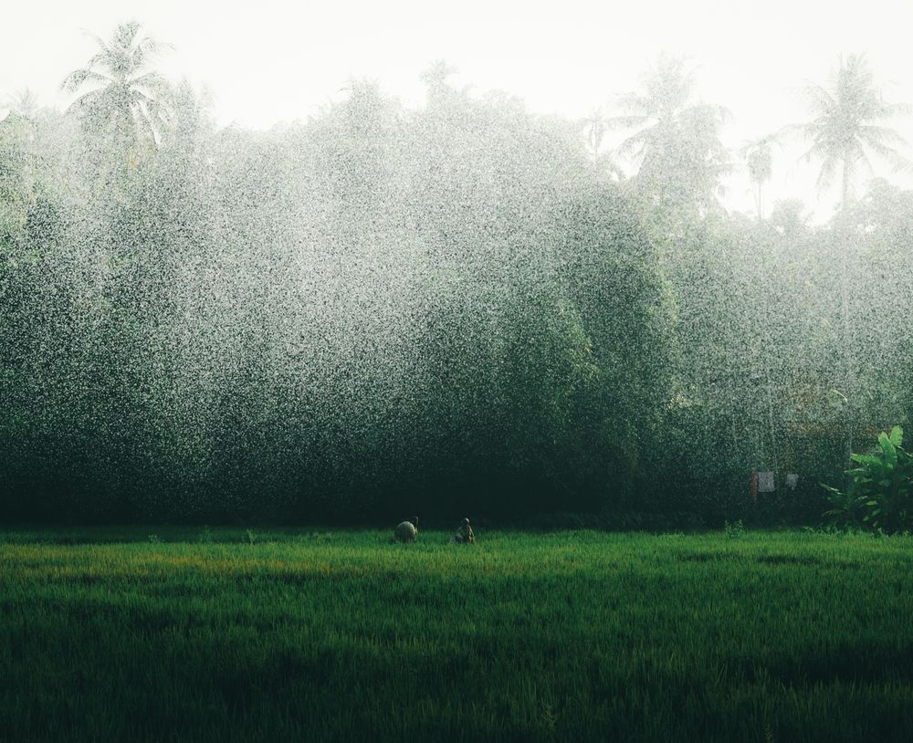 Photograph by GOKUL KRISHNA