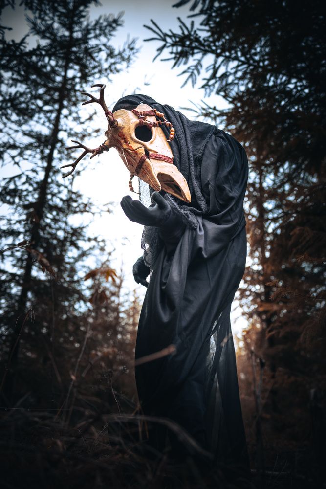 Photo #13613046