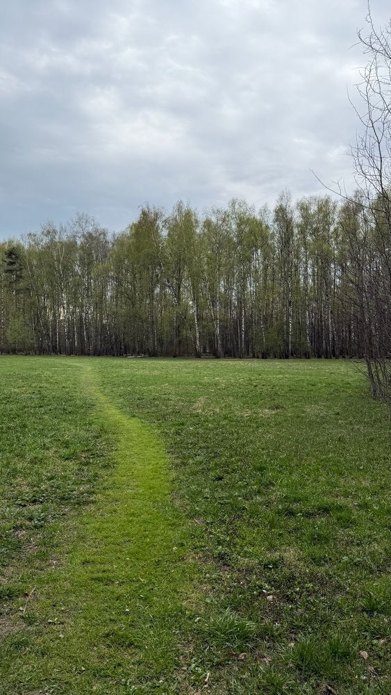 Photograph by Виктория Ляпина