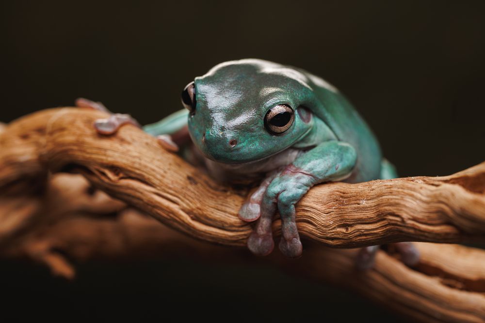 Photograph by Яна Нарбутович