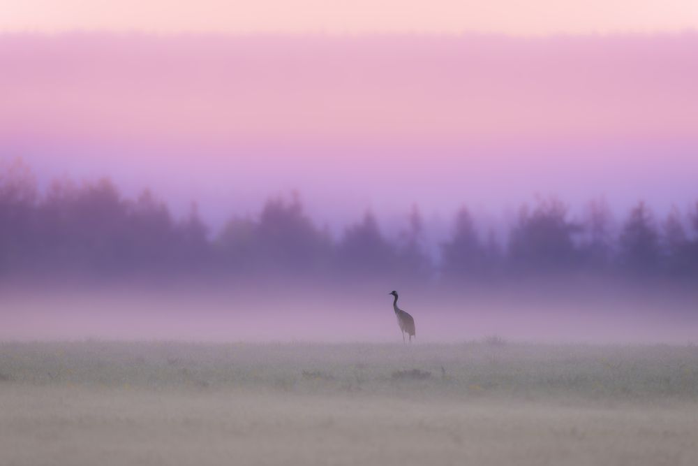 Photograph by Юрий Рыжков