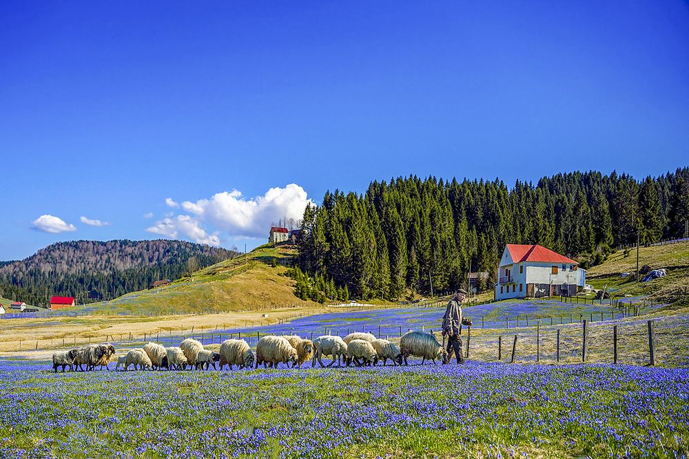 Фотография автора Selcuk Kahyaoglu