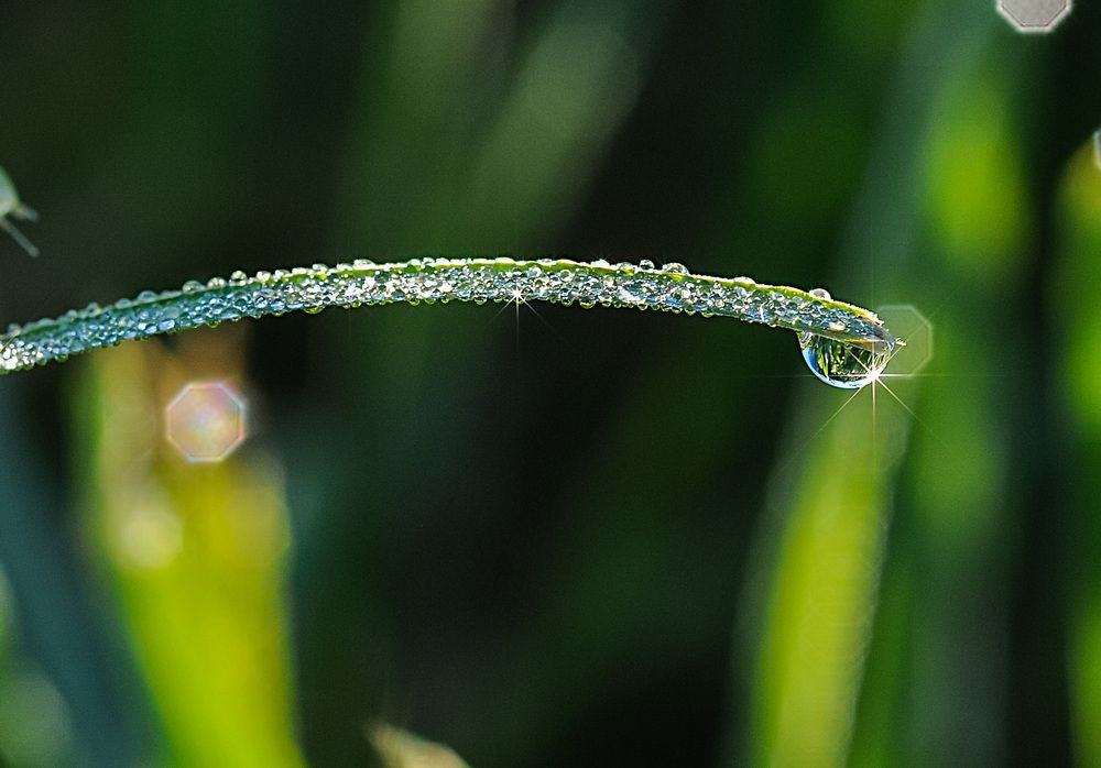 Photograph by Галина Юдина