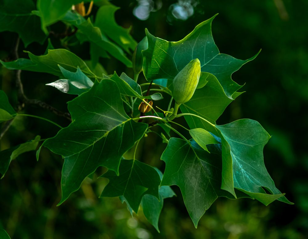 Photograph by Vitalii Kaznin