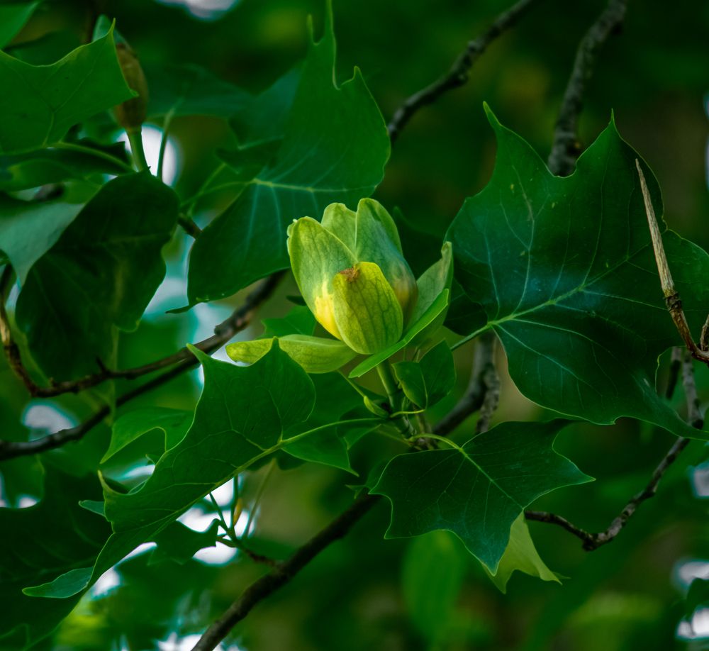 Photograph by Vitalii Kaznin
