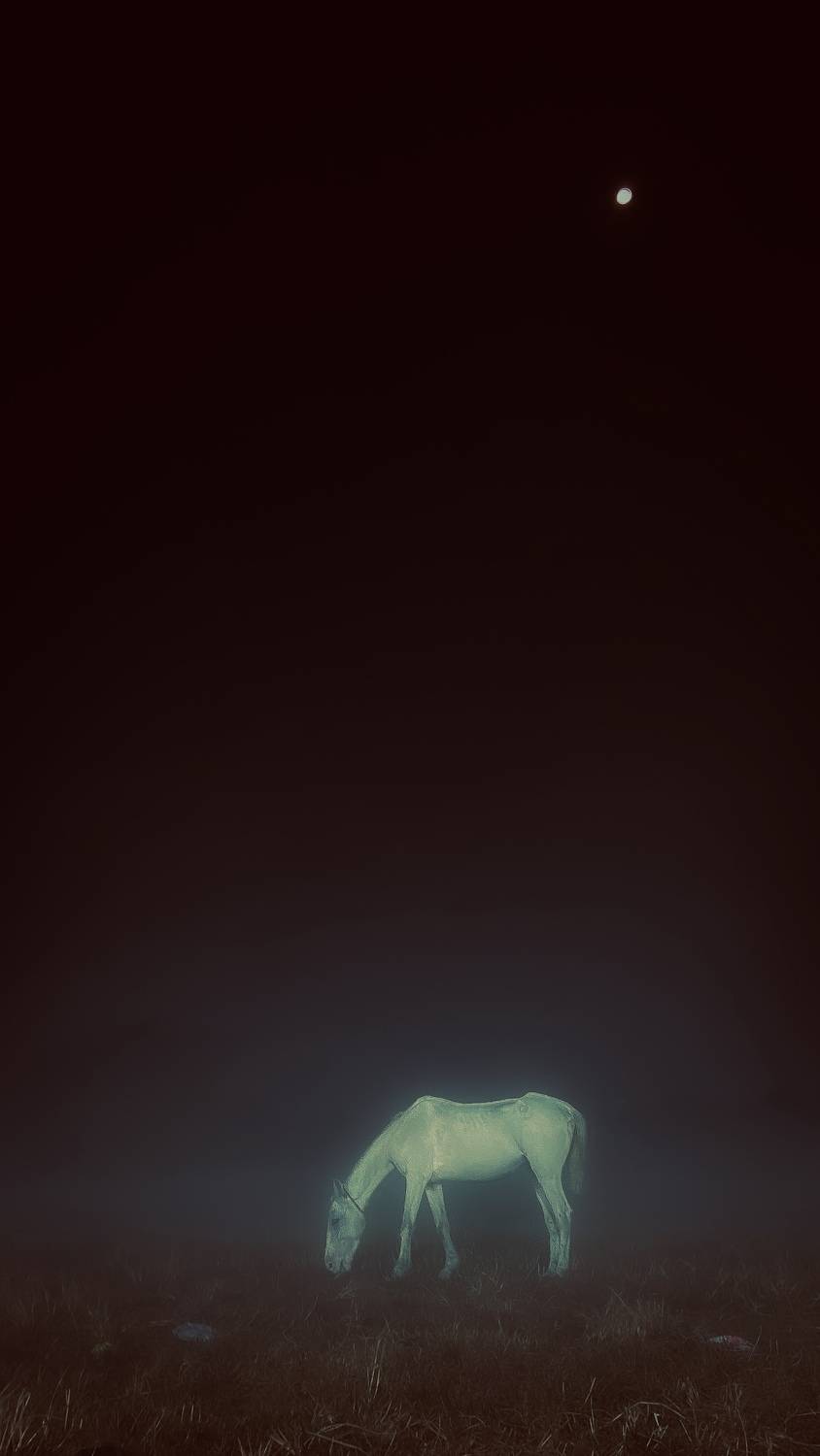 Dream in …