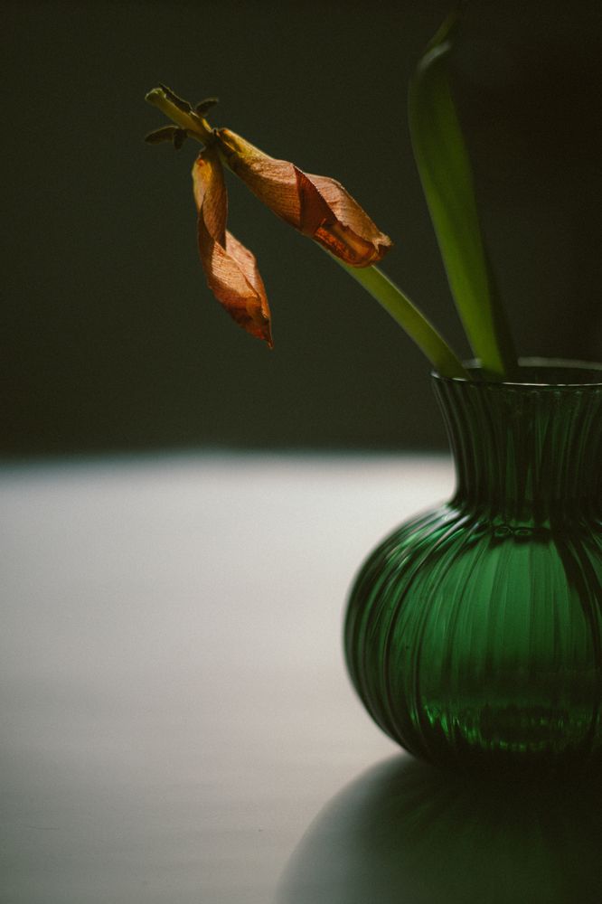 Photograph by Julia Smilovitsky
