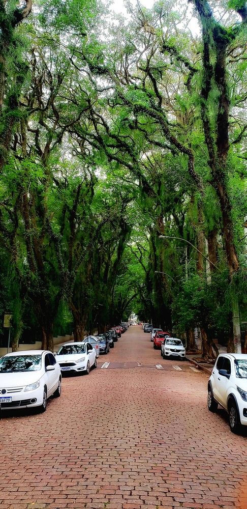 The most beautiful street in the world
