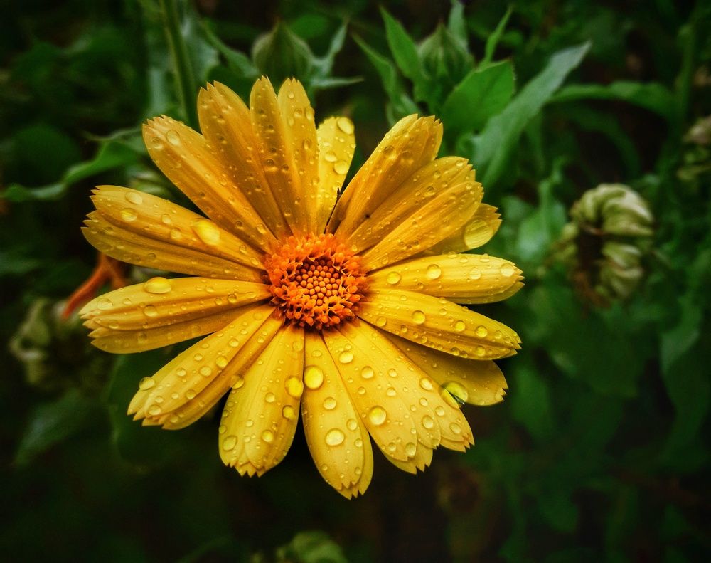 Photograph by Roberto Hagemann