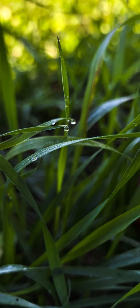 Photograph by Инна Невар