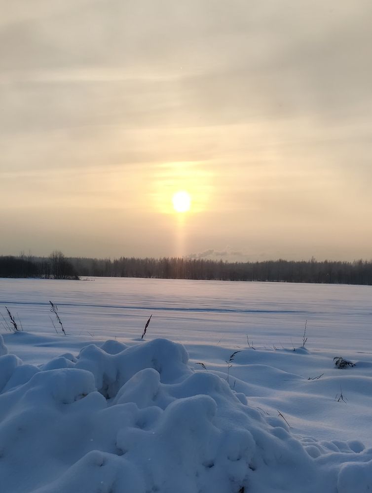 Морозный рассвет