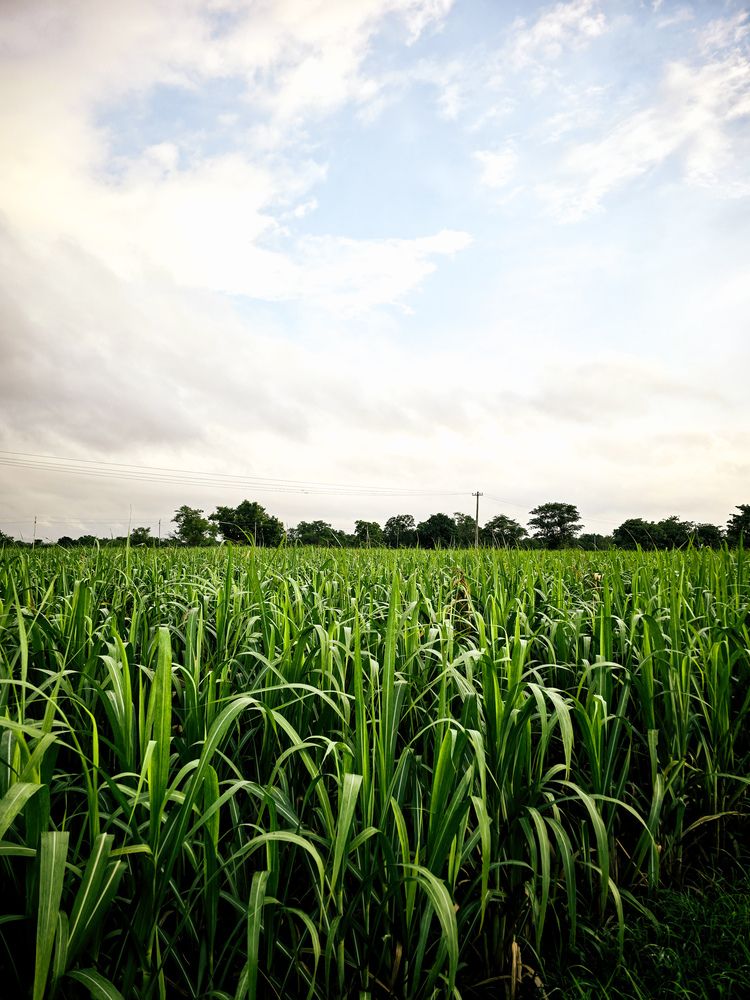 Photograph by Akshay Kshirasagar