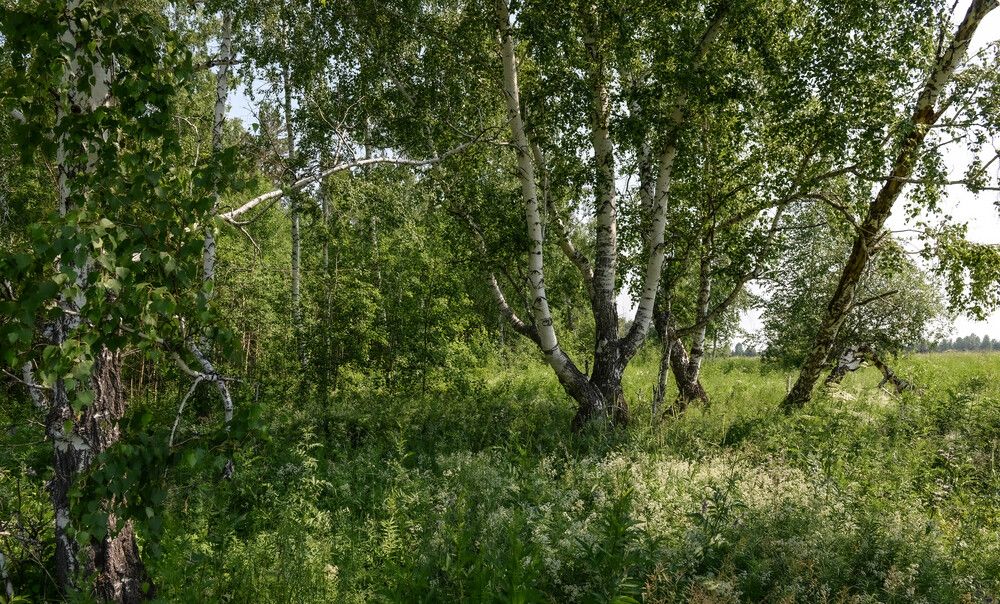 Photograph by Валерий Туманов