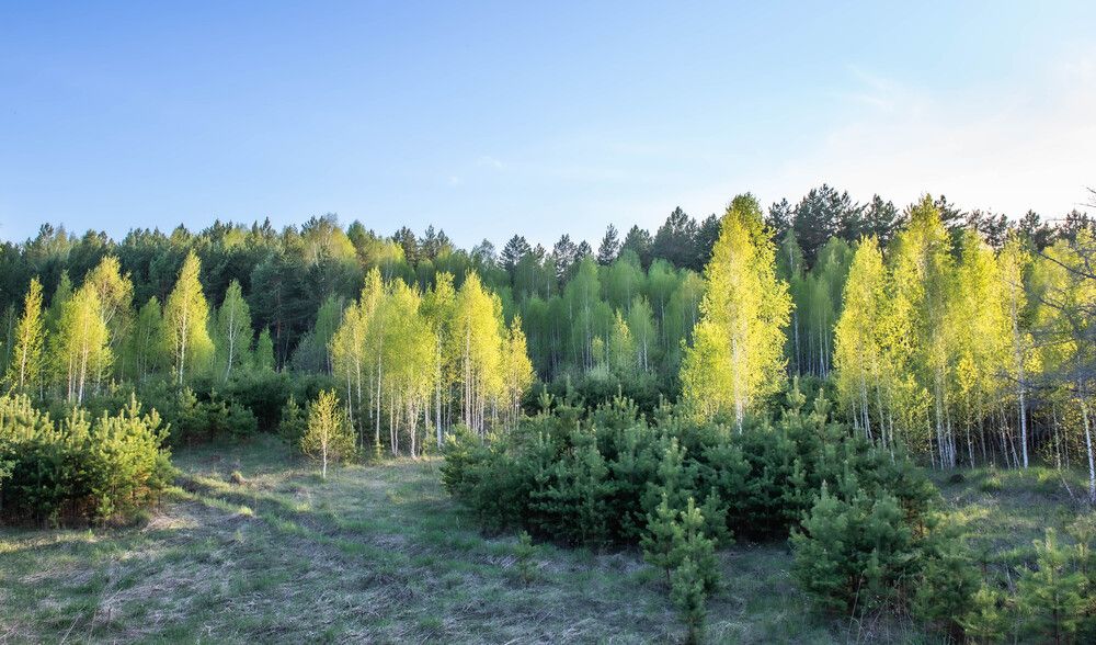 Photograph by Валерий Туманов