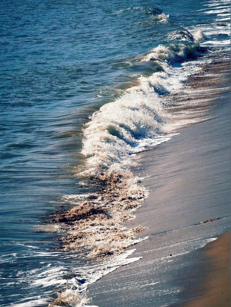 Echoes of the Waves