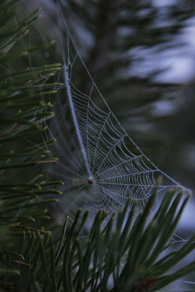 Photograph by Анна Захарчук