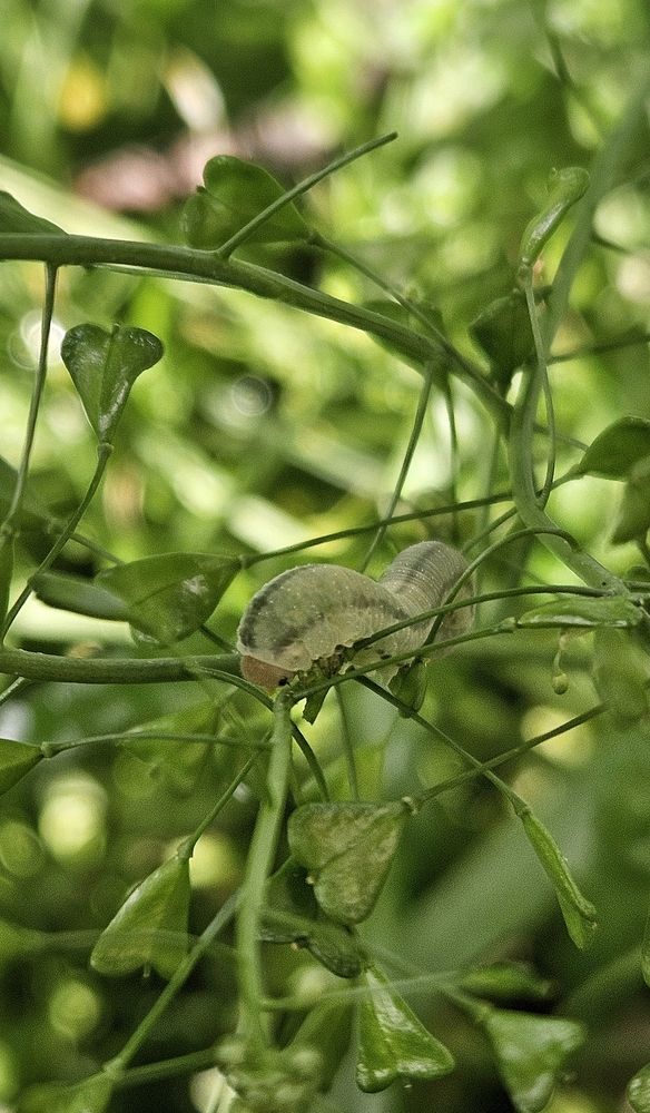 Photograph by Natalia Cuciaș