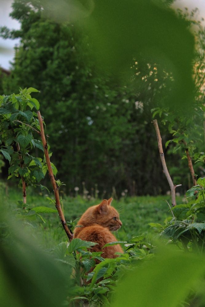 Photograph by Анна Захарчук