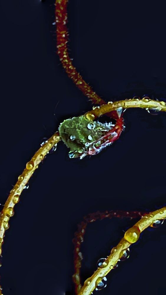 Photograph by Динара
