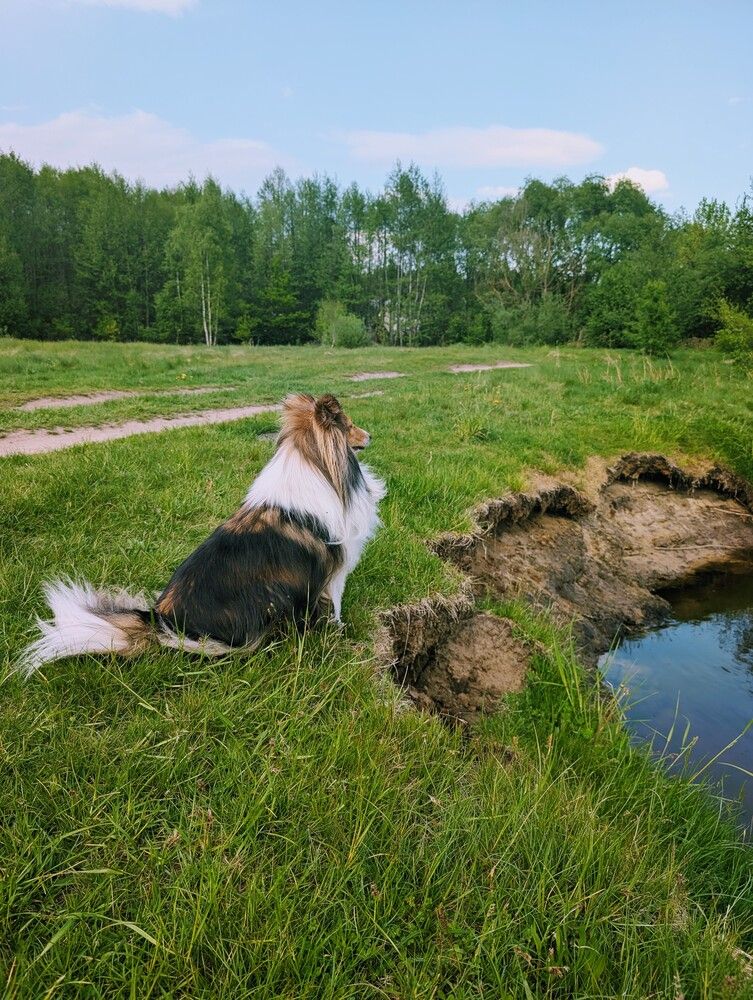 Photograph by Рузинова Елена