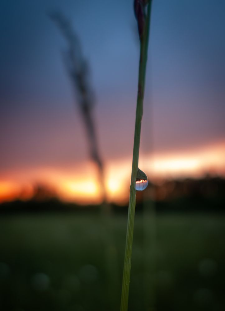 Photograph by Aндрей Иванов