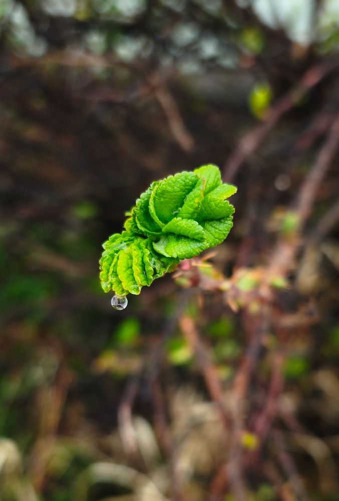 Photograph by Елена Попова