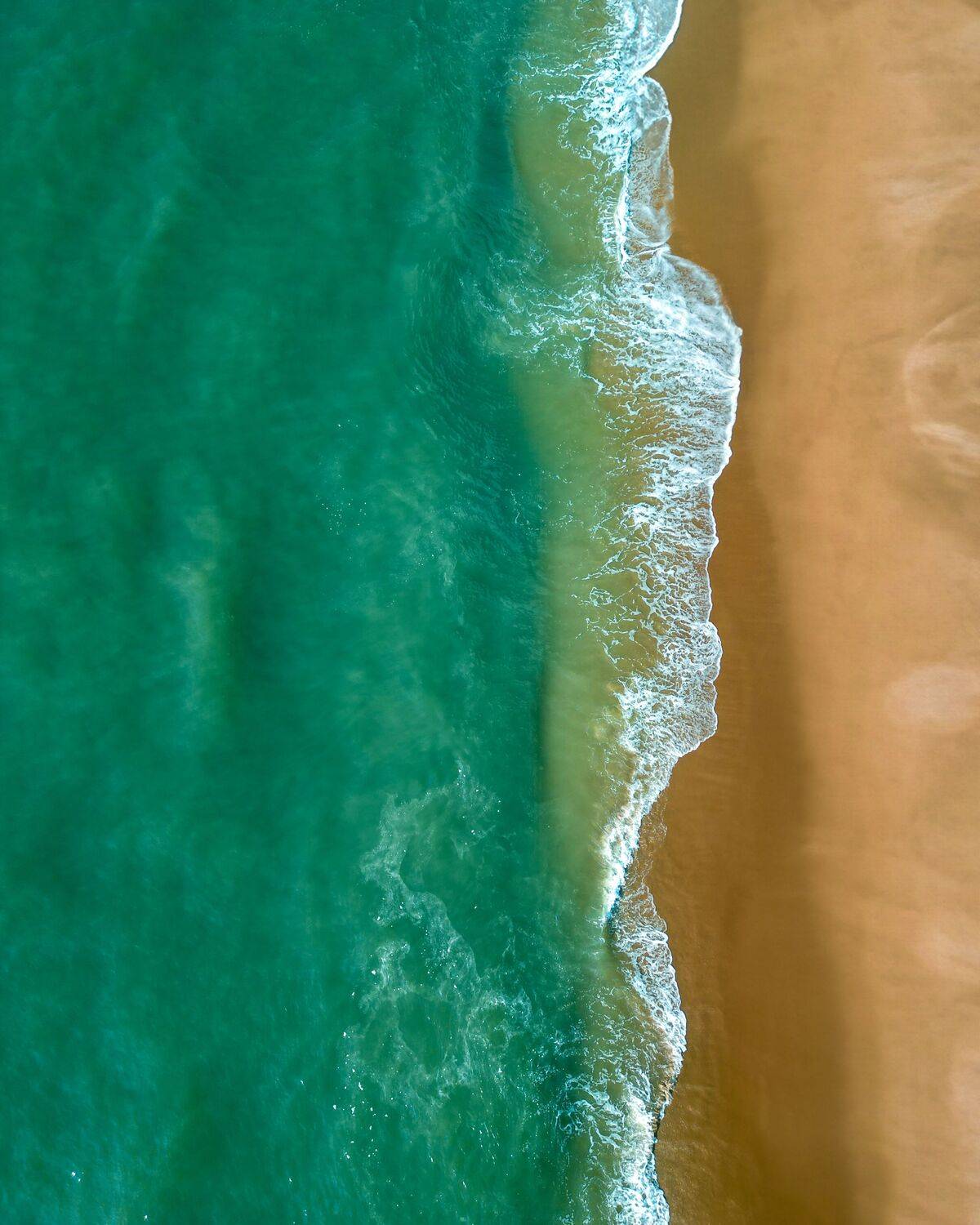 Shores of mahabalipuram