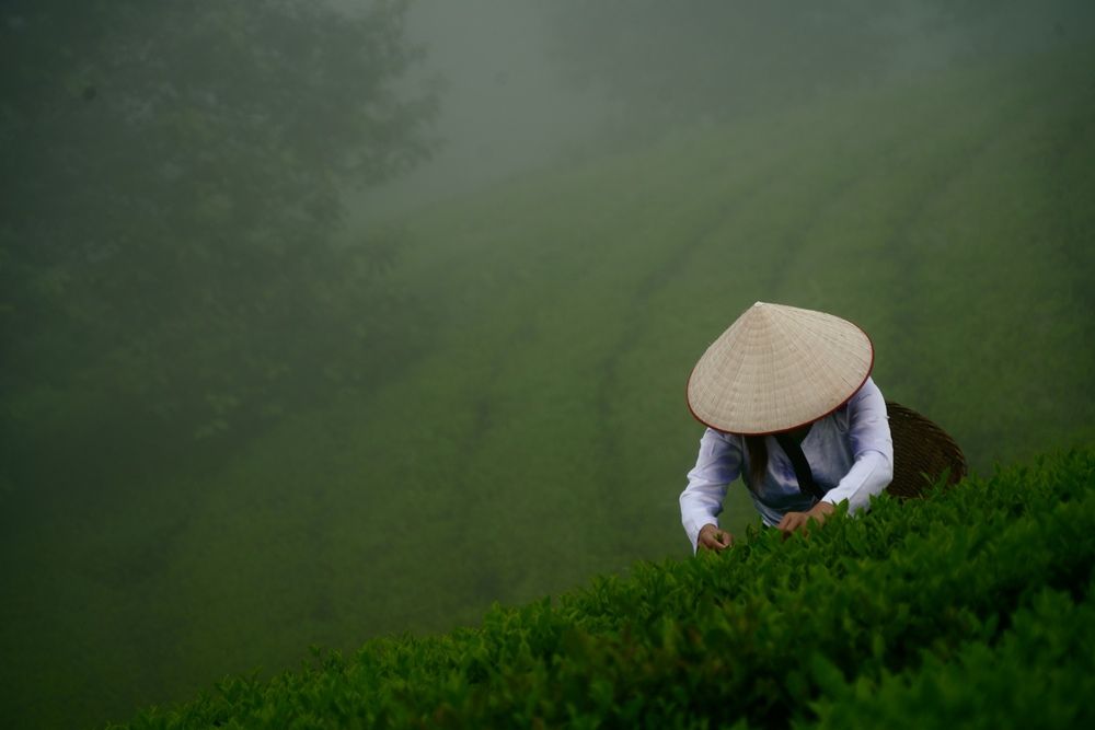 Photograph by Muge