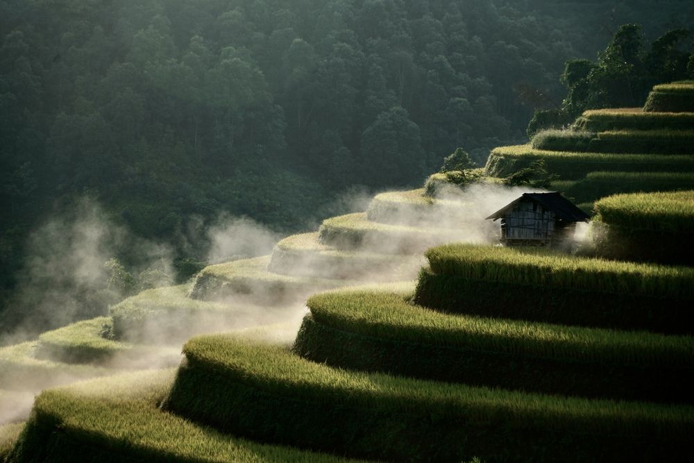 Photograph by Muge
