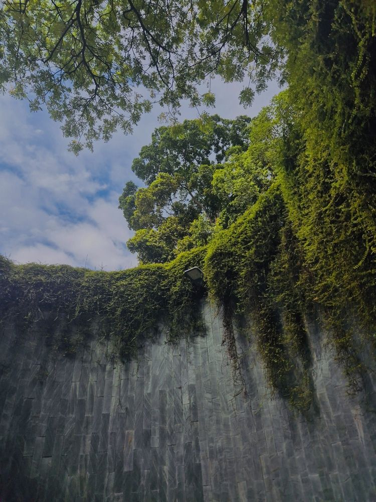 Photograph by Hepzibah Guna Sakaran
