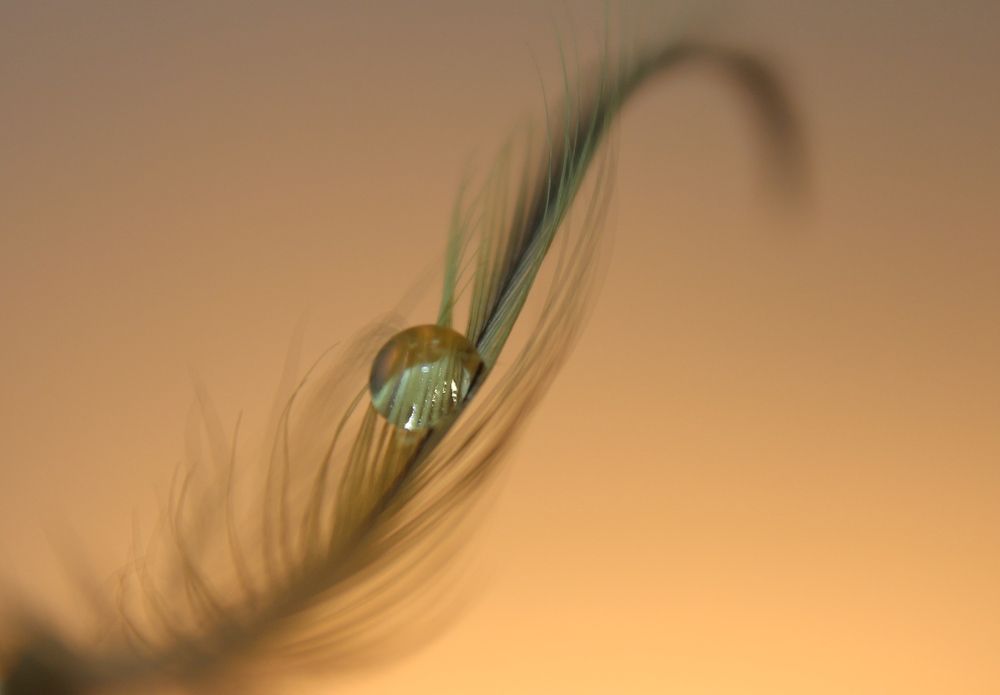 Photograph by Наталья Волкова