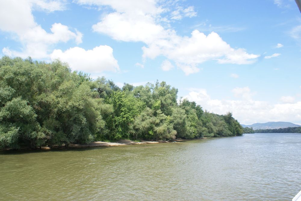 Photograph by Kálmán Rádai