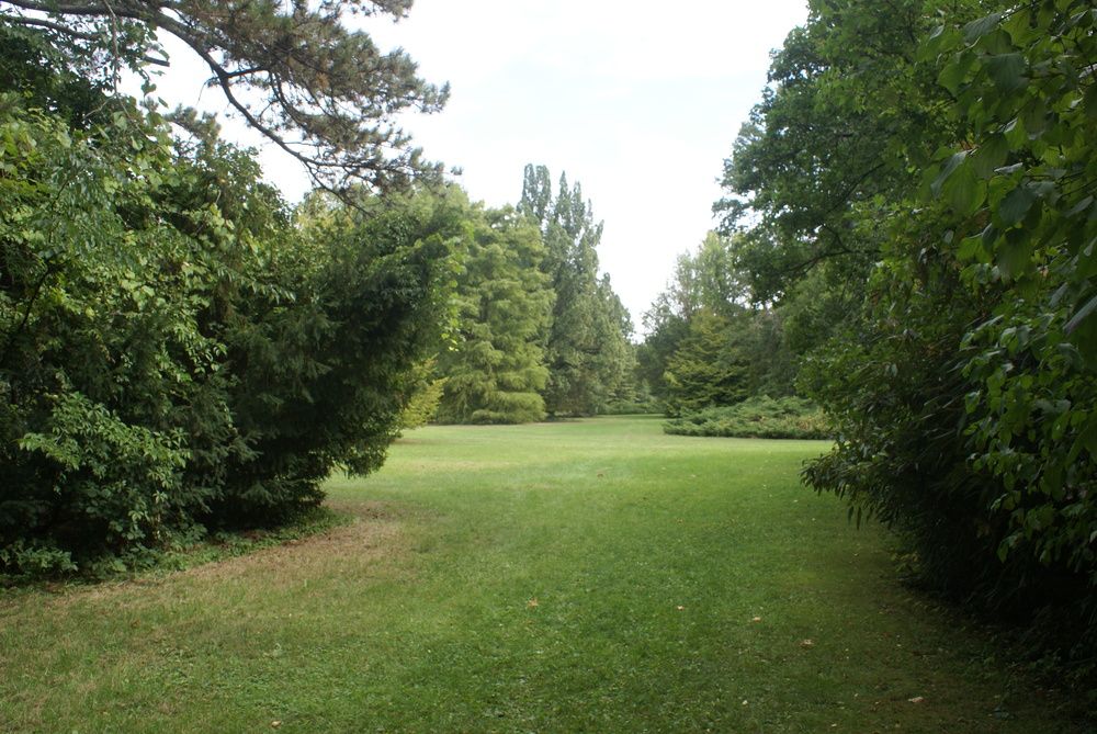 Photograph by Kálmán Rádai