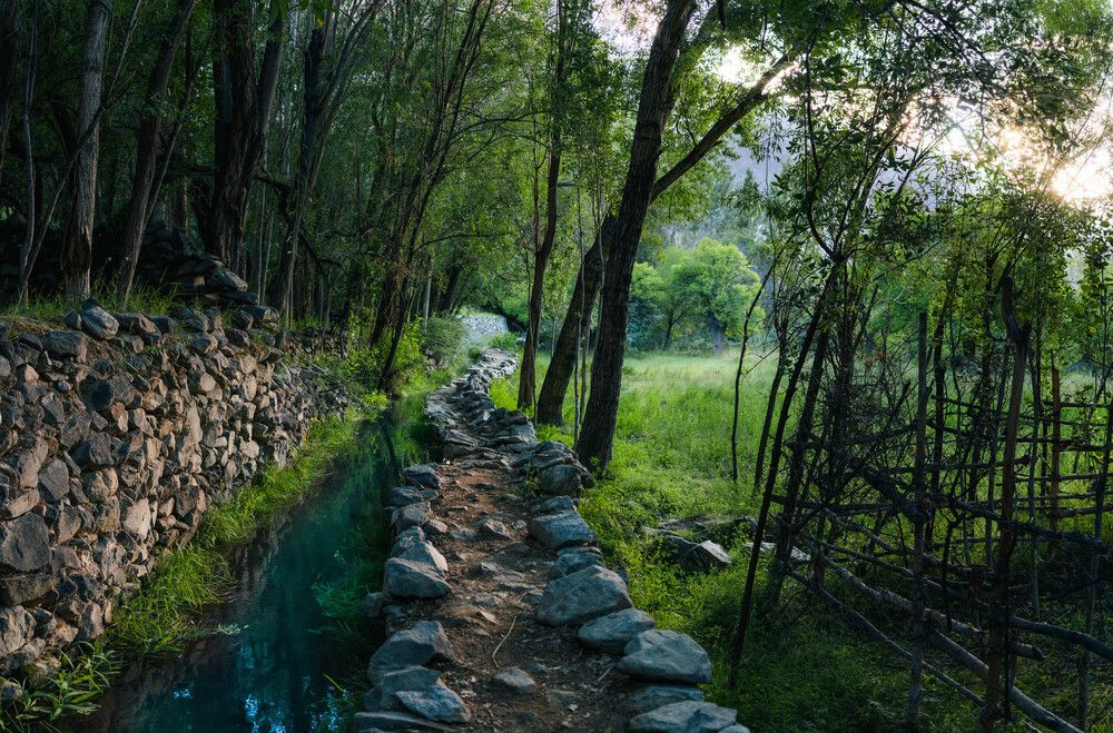 Photograph by riaz ali