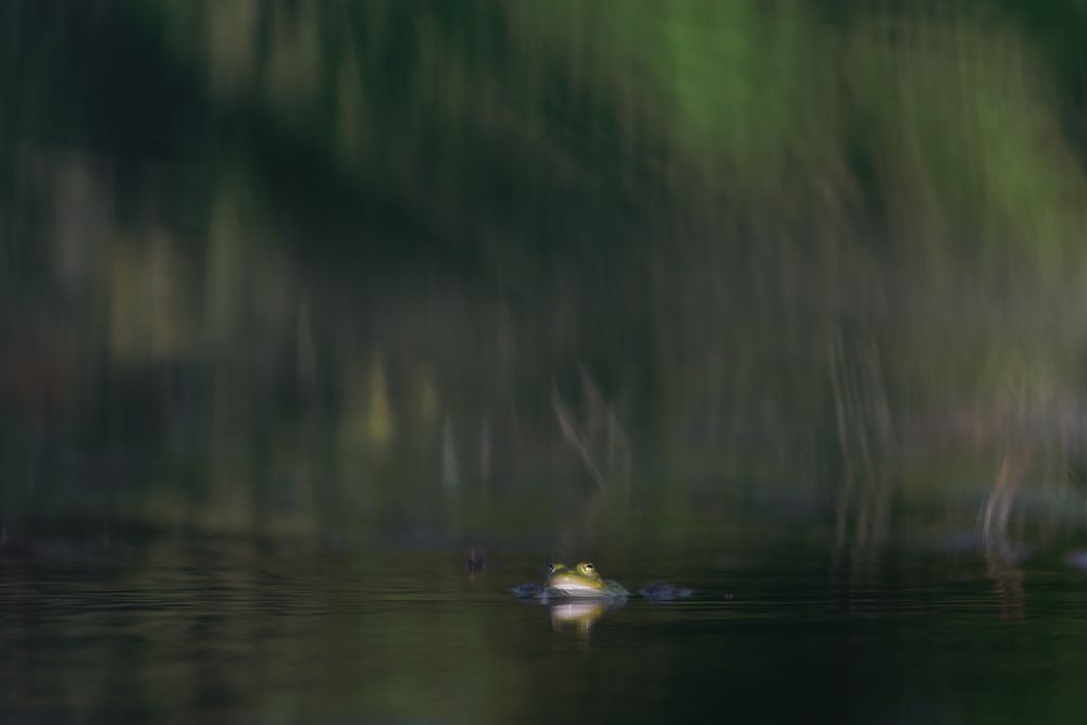 Photograph by Фабричный Роман