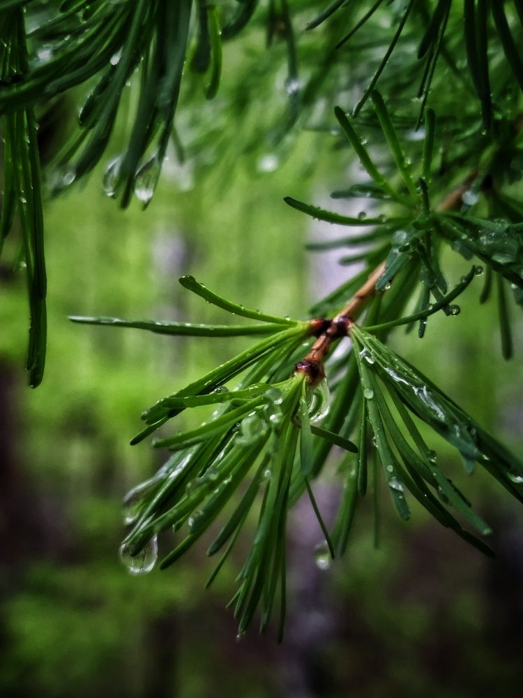 Photograph by Ирина Попелкова