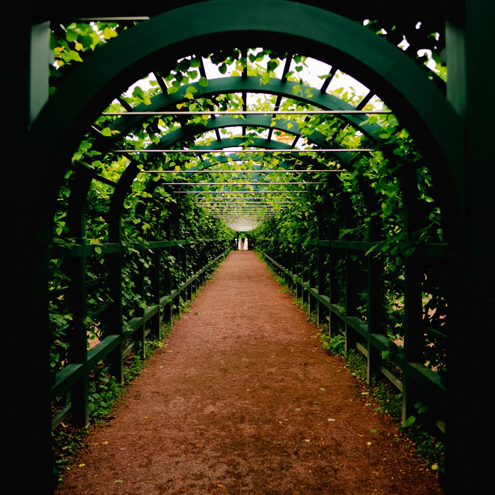 Photograph by Григорий Лапин