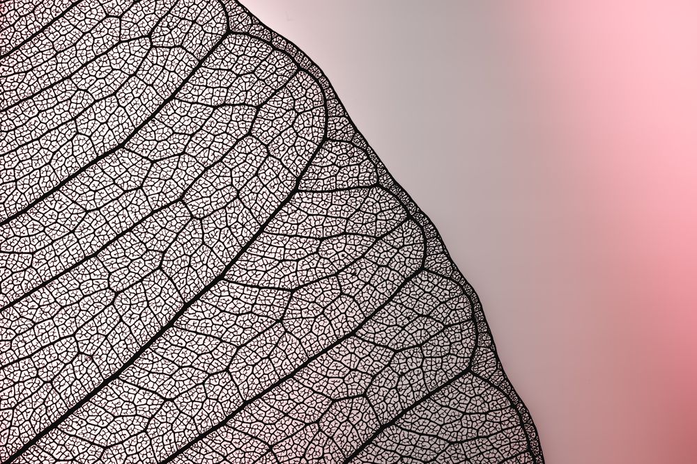 Veins of Eternity