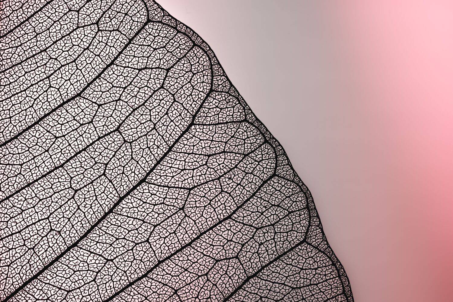 Veins of Eternity