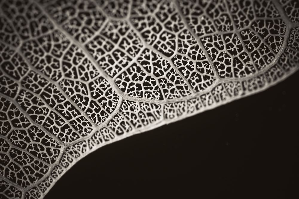 Fragile Geometry