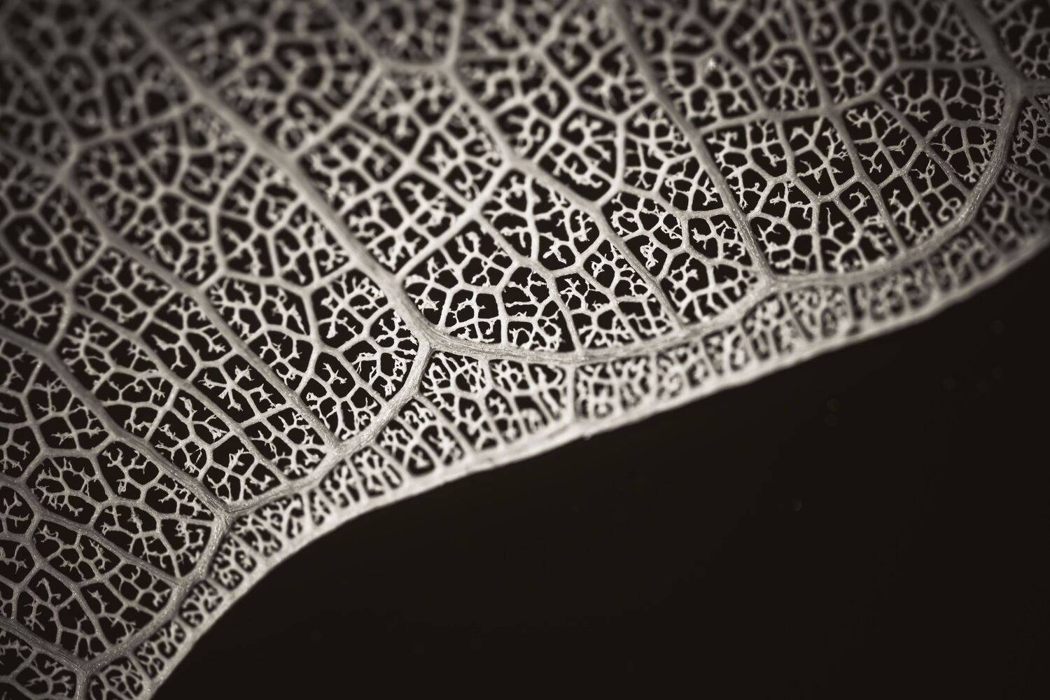 Fragile Geometry