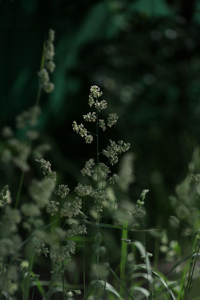 Photograph by Елена Гостева
