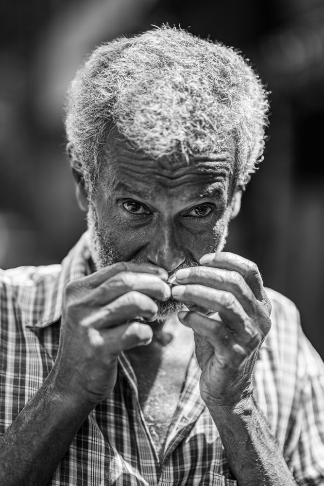 Photograph by Prabuddha Lakshan Adassuriyage