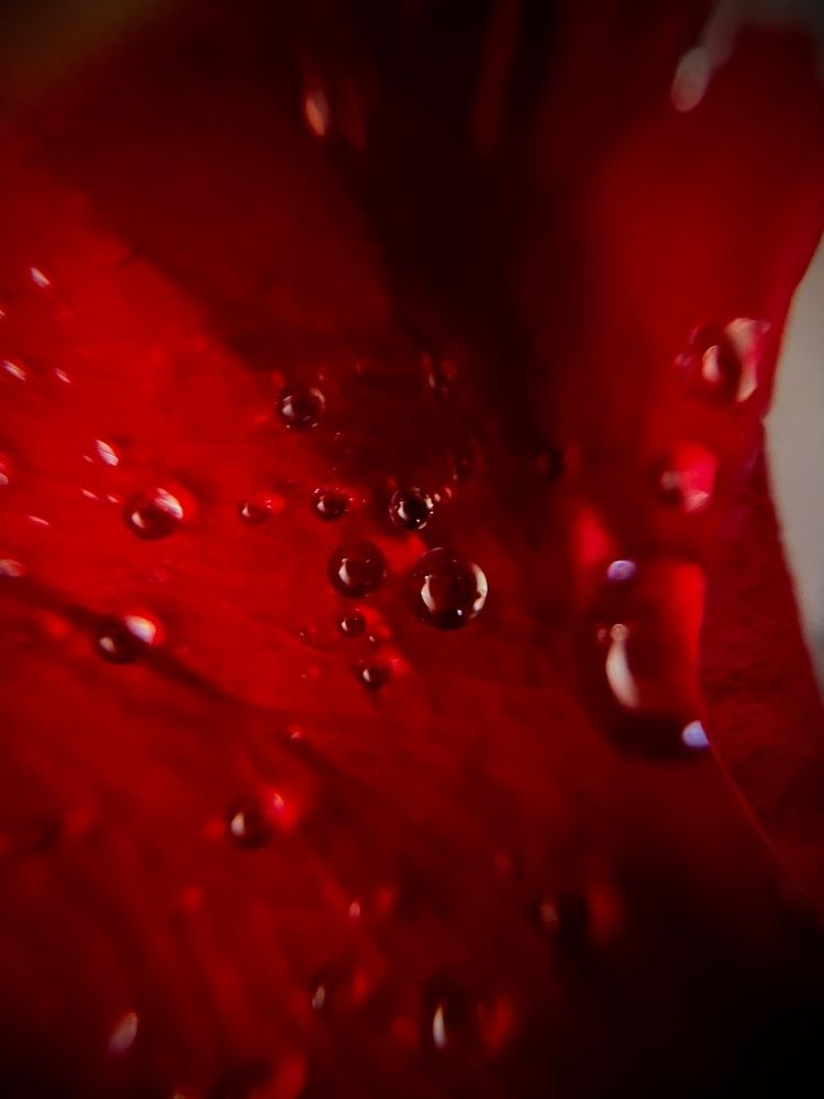 Photograph by Екатерина Одинцова