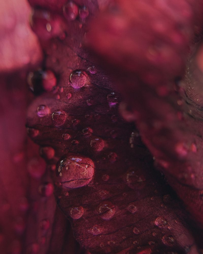 Photograph by Ксения Гулькова