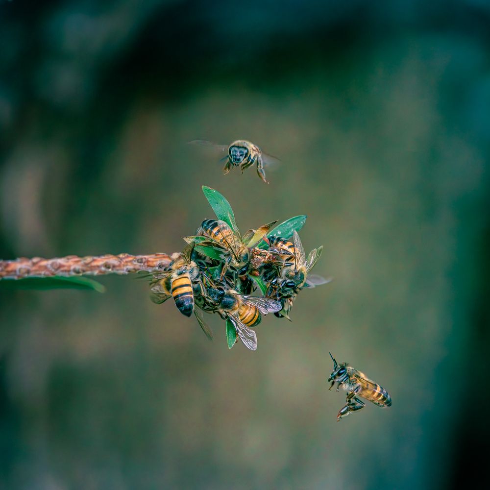 Photograph by Ken Stavrou