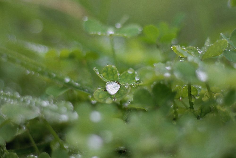 Photograph by Halyna Khomyk