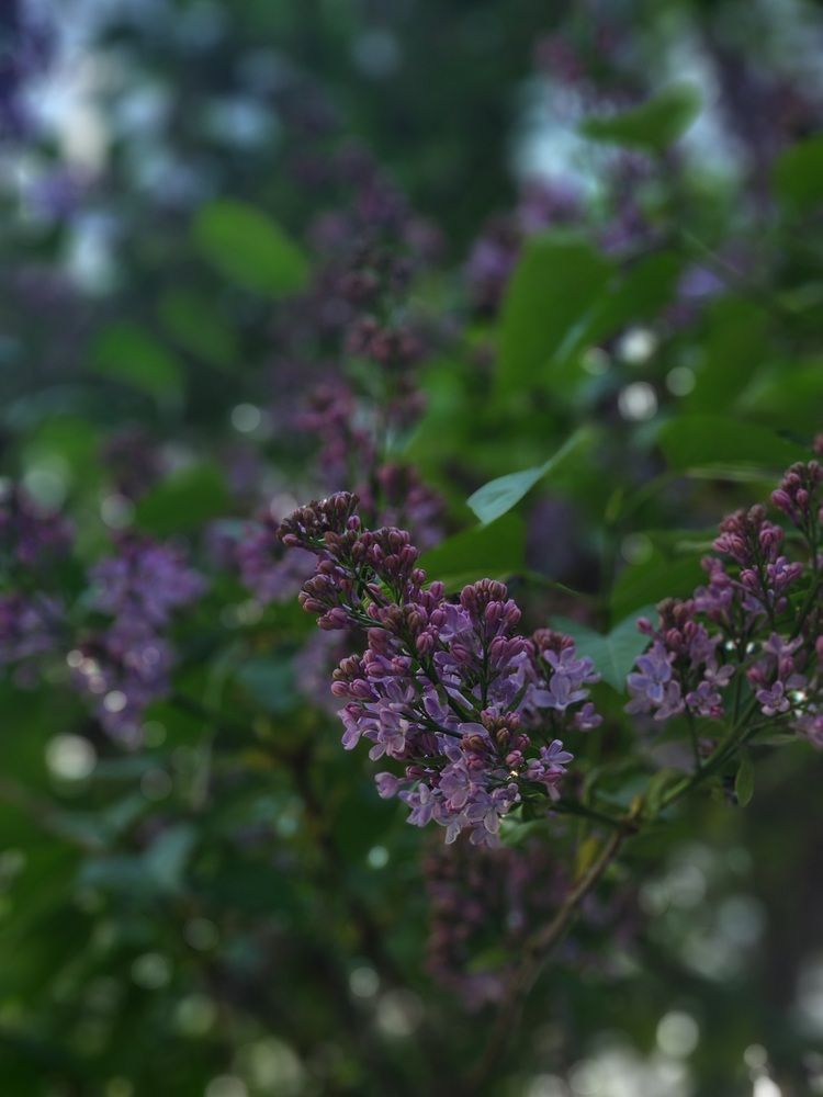 Photograph by DD