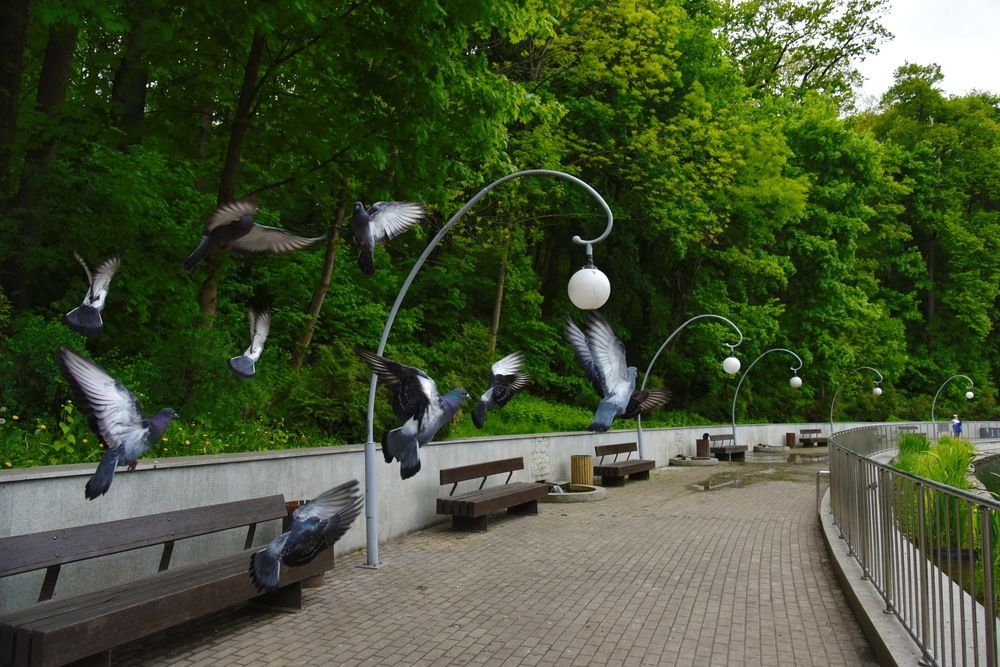Photograph by Дарья Боева