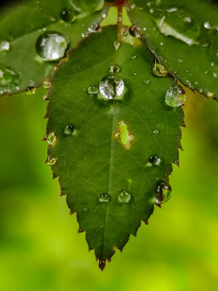 Photograph by Chinchu Chandran